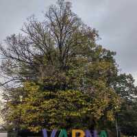 Amazing Varna