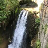 A gardens and a waterfall 
