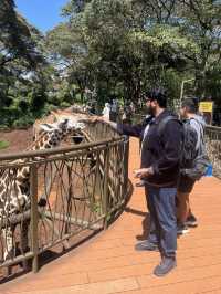 Exploring Nairobi: A Perfect Blend of Adventure, Culture, and Cuisine