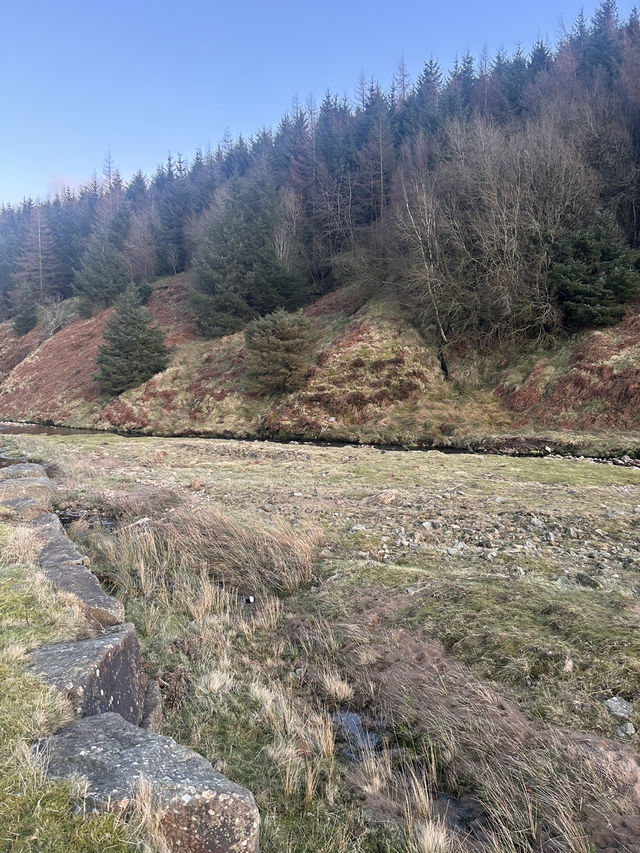 Beautiful Bowland 