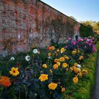 Cambridge Wimpole Estate – A Stroll Through Elegance and Earth