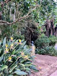 Kirstenbosch Gardens – Nature’s Masterpiece at Table Mountain’s Base 🌷