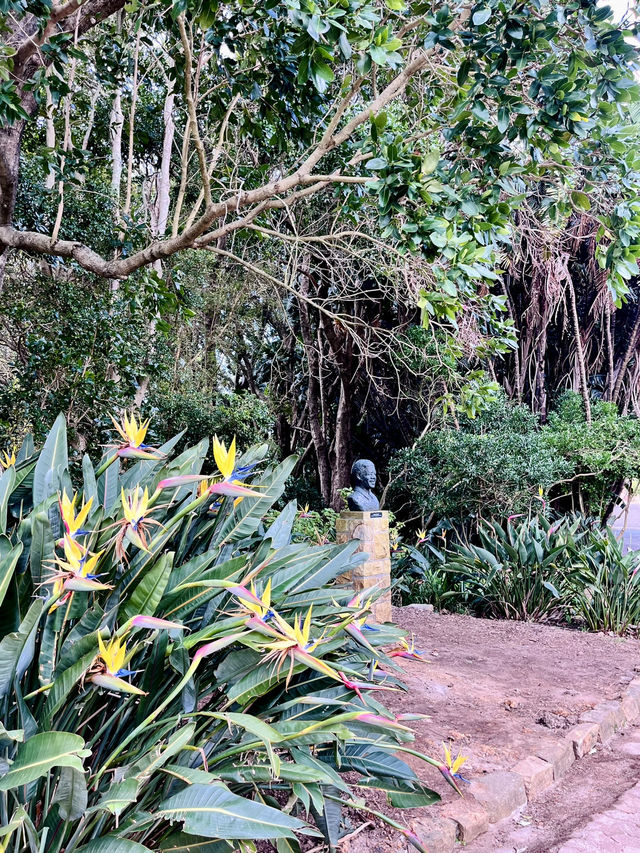 Kirstenbosch Gardens – Nature’s Masterpiece at Table Mountain’s Base 🌷