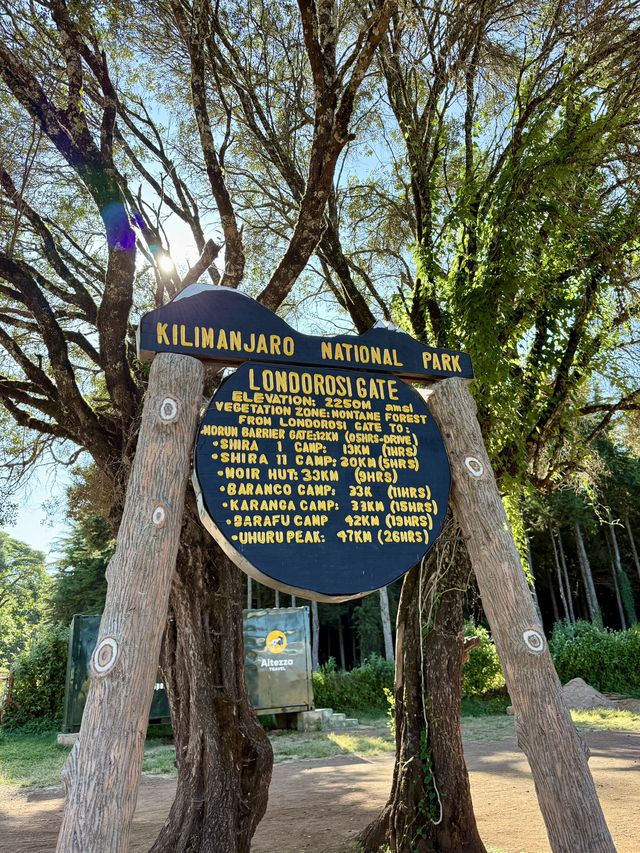 Climbing Mount Kilimanjaro – Shira Cathedral 🗻