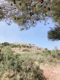Lojena 에서