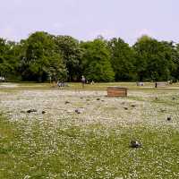 🌿👑 Royal Strolls: Exploring Central London’s Regal Green Spaces