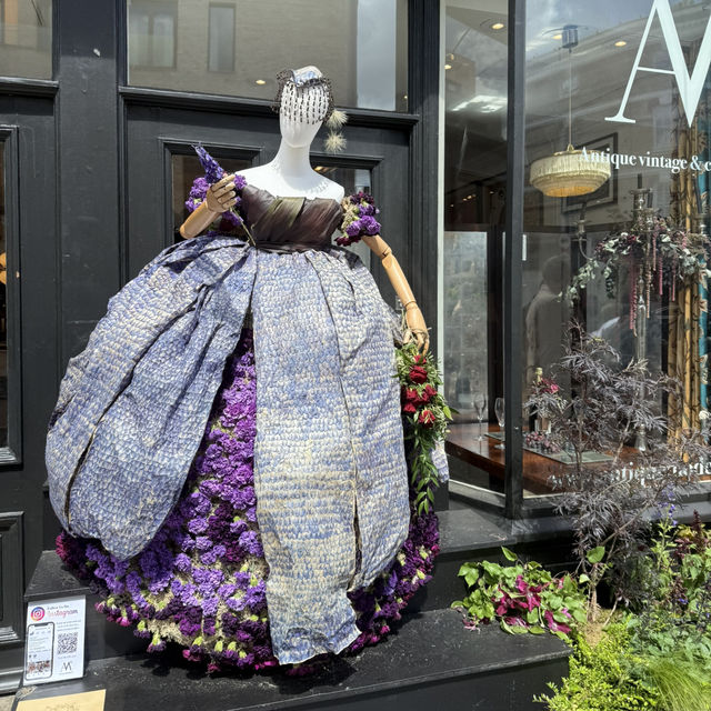 🌸 Chelsea Flower Show 2025: A Blooming Spectacle in London 🌿