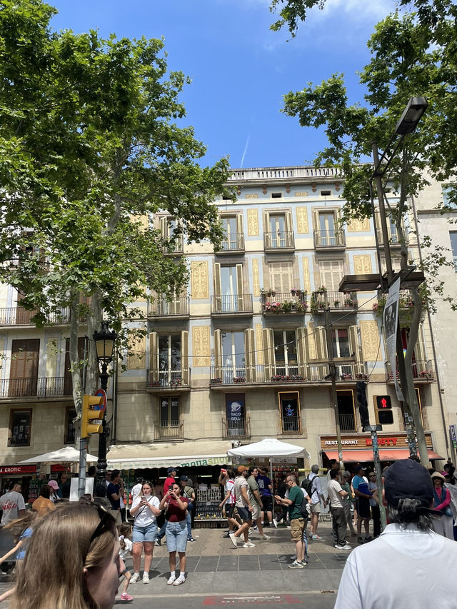 Streets of Barcelona 🍂