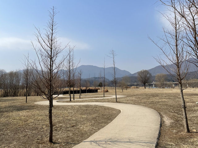 🌾 물안개 피어나는 고요한 풍경, 양평 두물머리 🌅