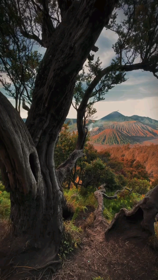 🌋 Whispers of the Volcano – Mount Bromo, Indonesia