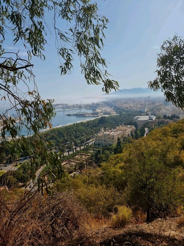 Discovering Málaga: A Perfect Blend of Sun, Culture & Tapas