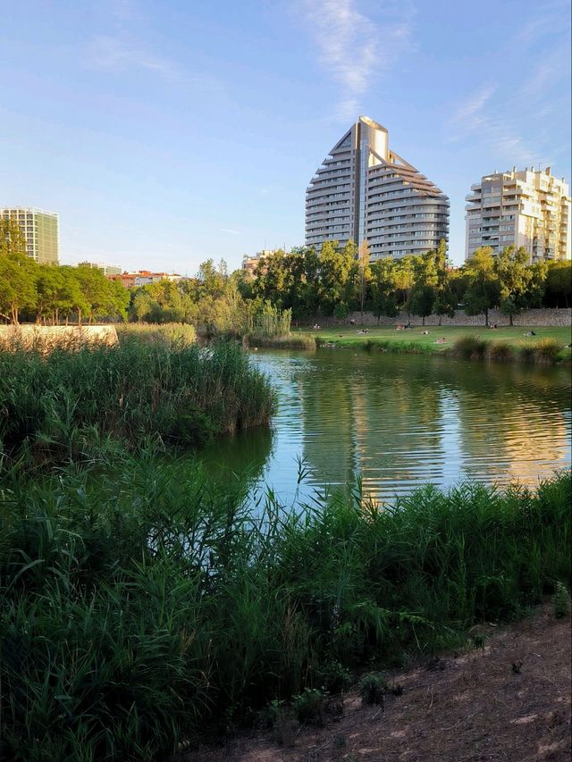 Turtles, Birds & Sunshine at Cabecera Park 🐢🦆🌿
