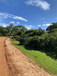 🐘 Yala National Park – A Wildlife Wonderland in Southern Sri Lanka 🌿