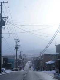 ❄️ Winter Magic in Otaru & Otaru Tenguyama 🏔️🎐