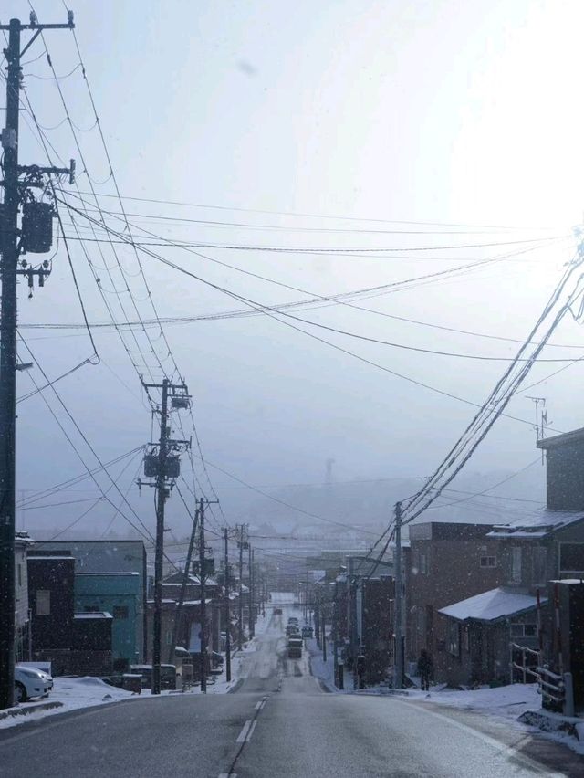 ❄️ Winter Magic in Otaru & Otaru Tenguyama 🏔️🎐 ❄️ Winter Magic in Otaru & Otaru Tenguyama 🏔️🎐