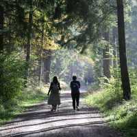 🌄 Zurich’s Perfect Escape: From Alpine Views to Lake Waves