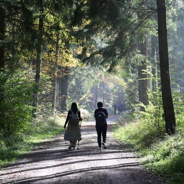 🌄 Zurich’s Perfect Escape: From Alpine Views to Lake Waves 🌄 Zurich’s Perfect Escape: From Alpine Views to Lake Waves