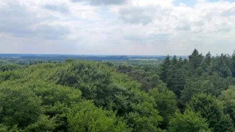 Natuurpark Lelystad: A Natural Escape in the Netherlands — traveler post in Flevoland