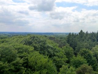 Natuurpark Lelystad: A Natural Escape in the Netherlands