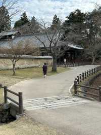Japan Trip: Get ready to discover the ancient vibes of Nara!
