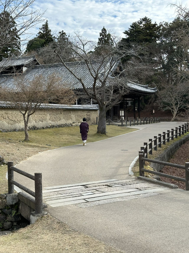 Japan Trip: Get ready to discover the ancient vibes of Nara!