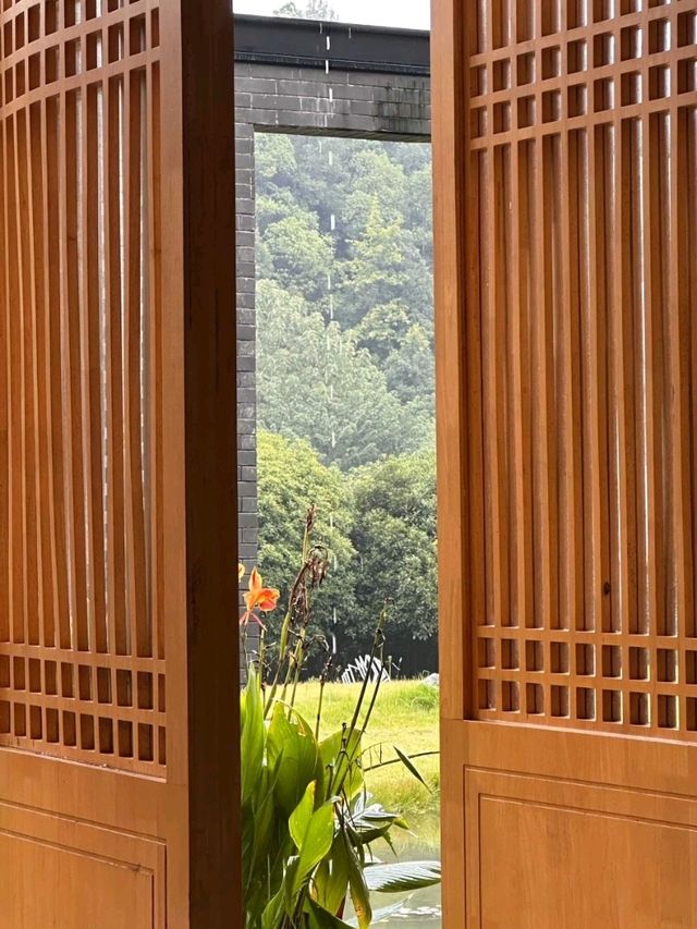 🌿 Rainy Day Retreat: Cozy Moments & Quiet Views ☕🌧️