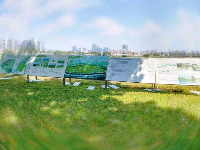 🌾 Urban Fields of Dejunzhou: Nature Thrives in the City