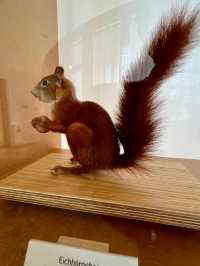 Step Into Wonder — Naturkundemuseum Karlsruhe, Deutschland 🇩🇪  