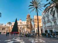 Tapas Under Palms🍽️