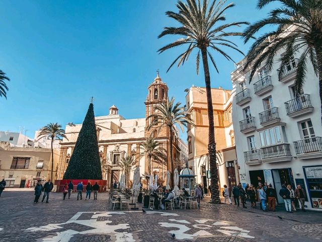 Tapas Under Palms🍽️ Tapas Under Palms🍽️