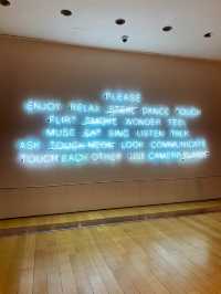 Boston, the Museum of Fine Arts 🎨
