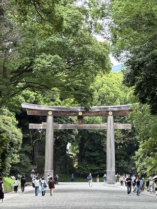 東京四圍遊 Part 2 - 交通、博物館與寺廟。