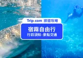 【2023宿霧旅遊】宿霧自由行景點該怎麼排,一文了解宿霧旅遊要點!