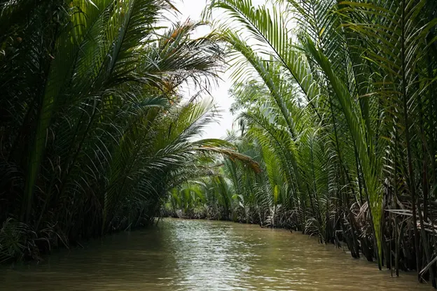 Das Mekong-Delta in Vietnam