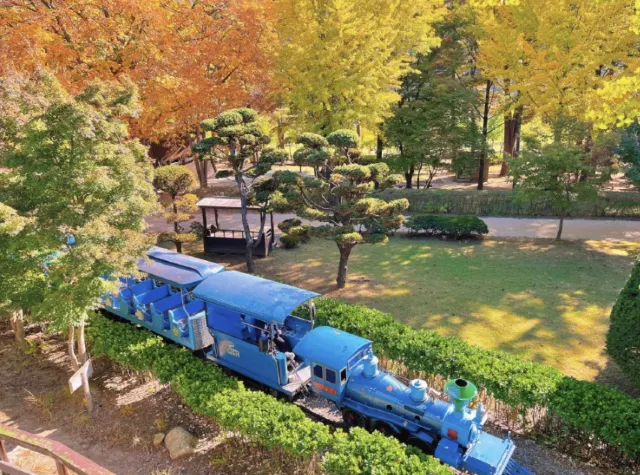 서울 근교 드라이브 춘천 가볼만한 곳