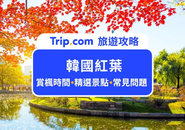 韓國紅葉