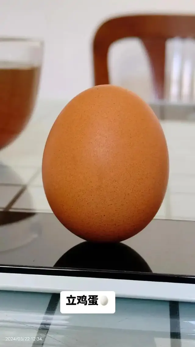 立蛋