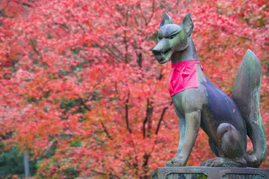 京都紅葉景點03伏見稻荷大社