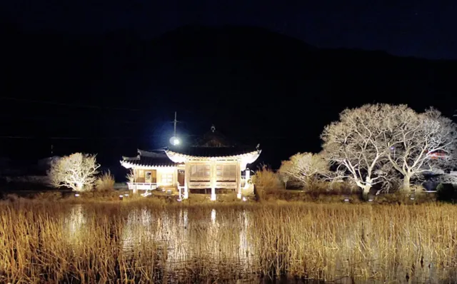 경주 야경 가볼만한 곳 서출지
