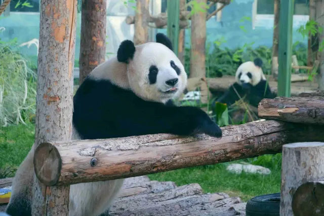 Dalian Forest Zoo