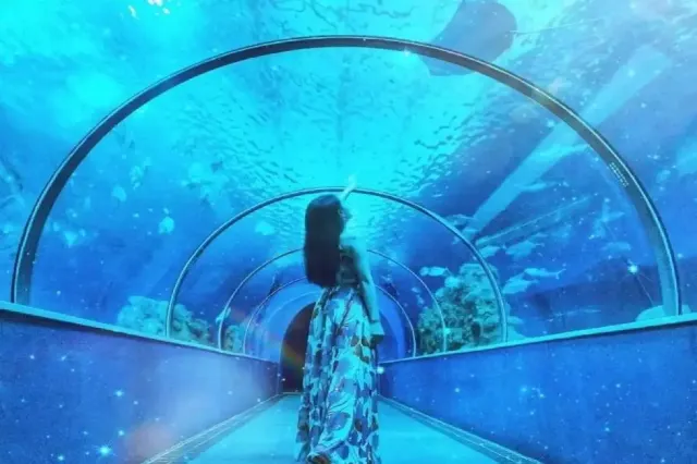 澎湖水族館