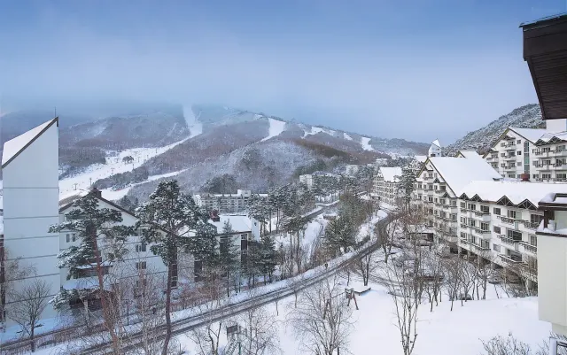 겨울 국내여행 무주 덕유산 리조트 스키장