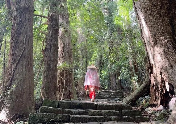 世界遺産や名所を巡る和歌山２泊3日の旅