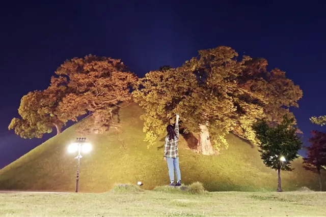경주 야경 가볼만한 곳 봉황대