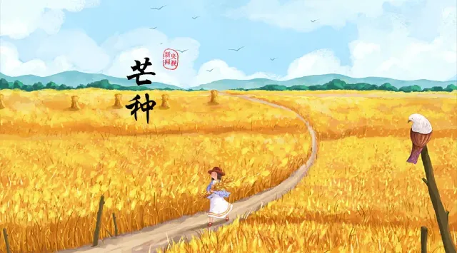 2025芒種