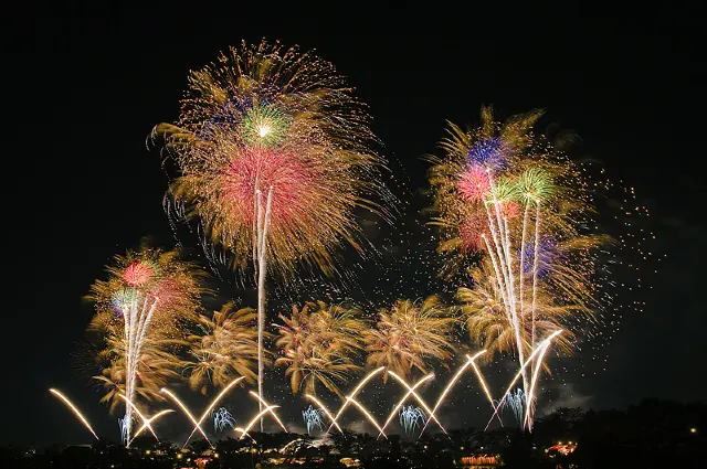 日本三大花火大会2025最新】長岡まつり大花火大会・大曲の花火・土浦
