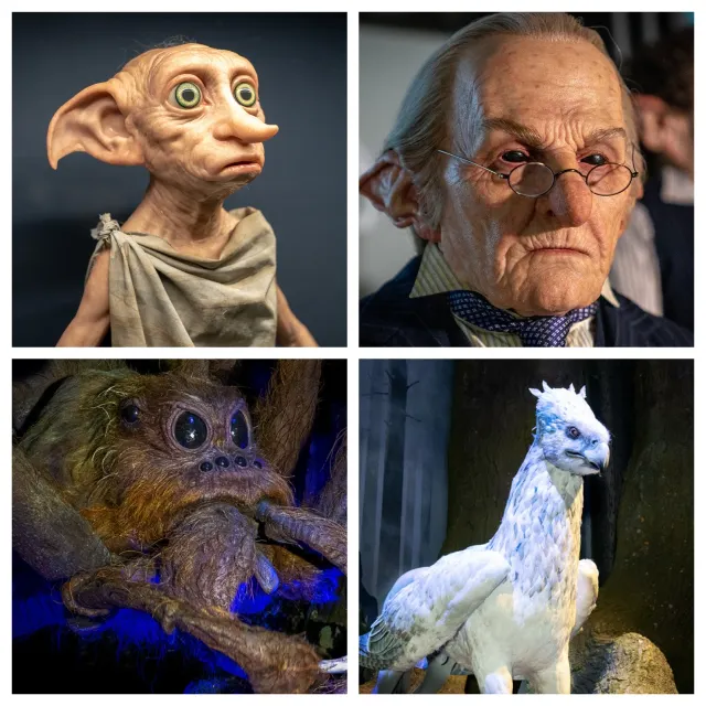 動物與生物特效