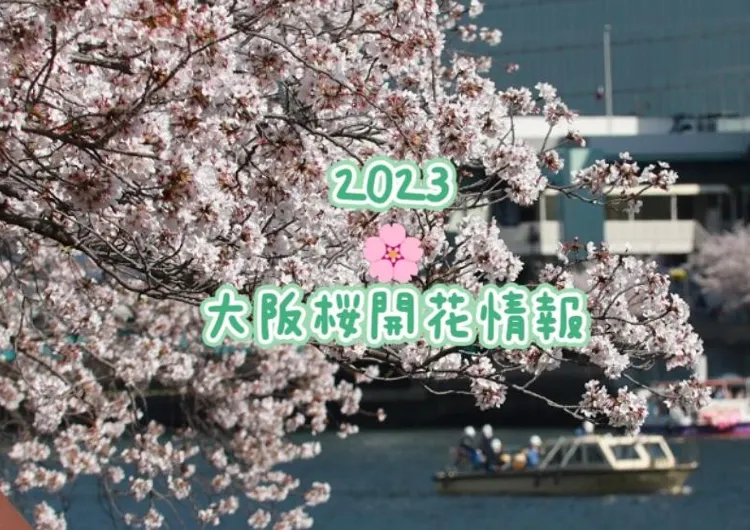【2023年】大阪の花見・桜名所　お花見におすすめのスポット🌸 開花・満開 予測一覧！