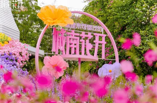 花市推荐