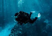 7大必到沖繩潛水點推薦2024:夢幻藍洞、繽紛珊瑚礁及神秘洞穴